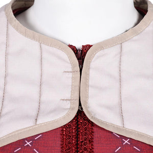 Astrid Kostüm Set How to Train Your Dragon Astrid Hofferson Cosplay Outfits