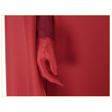 Laden Sie das Bild in den Galerie-Viewer, Emperor‘s Royal Guard rot Umhang Cosplay Outfits