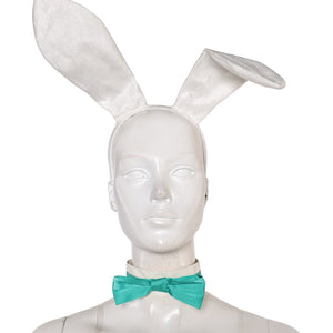 Luna snow Bunny Girl Kostüm Cosplay Outfits 