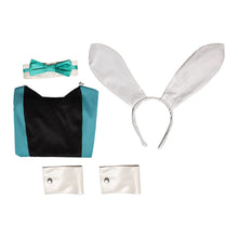 Laden Sie das Bild in den Galerie-Viewer, Luna snow Bunny Girl Kostüm Cosplay Outfits 