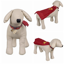 Laden Sie das Bild in den Galerie-Viewer, Superman 2025 Krypto Haustier Hund Umhang Cosplay Outfits