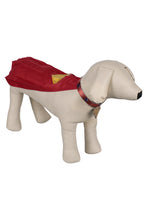 Laden Sie das Bild in den Galerie-Viewer, Superman 2025 Krypto Haustier Hund Umhang Cosplay Outfits