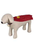 Laden Sie das Bild in den Galerie-Viewer, Superman 2025 Krypto Haustier Hund Umhang Cosplay Outfits