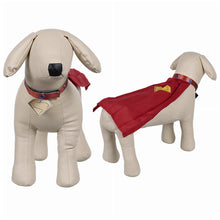 Laden Sie das Bild in den Galerie-Viewer, Superman 2025 Krypto Haustier Hund Umhang Cosplay Outfits