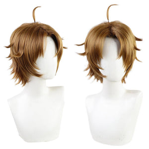 Mushoku Tensei Jobless Rudeus Greyrat Perücke Cosplay Perücke