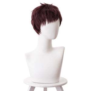 Boku no Hero My Hero Academia Kai Chisaki Perücke Cosplay Perücke
