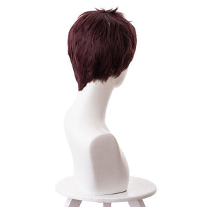 Boku no Hero My Hero Academia Kai Chisaki Perücke Cosplay Perücke