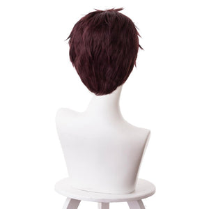 Boku no Hero My Hero Academia Kai Chisaki Perücke Cosplay Perücke
