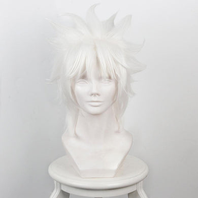 Fate/Apocrypha FA Ruler Amakusa Shiro Perücke Cosplay Perücke