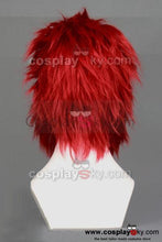 Laden Sie das Bild in den Galerie-Viewer, Fate/Zero Rider Cosplay Perücke with Full Beard