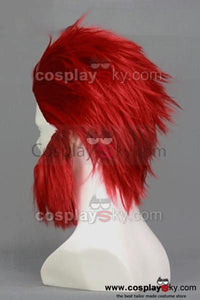 Fate/Zero Rider Cosplay Perücke with Full Beard