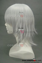 Laden Sie das Bild in den Galerie-Viewer, Hitman Reborn Gokudera Hayato Cosplay Perücke